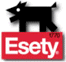 Esety